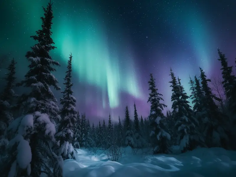 The Mesmerizing Magic of the Northern Lights